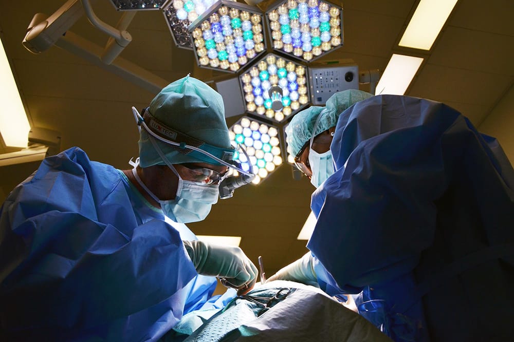 Medicolegal 医疗诉讼 Medicolegal 医疗诉讼